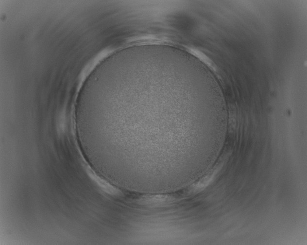 X0000074311474200608251223