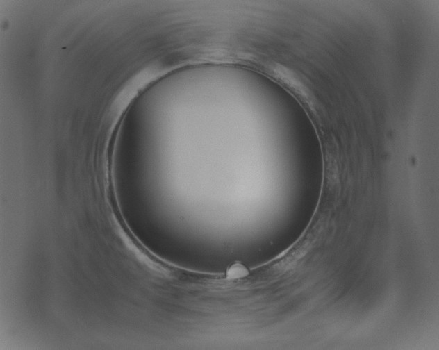 X0000074311479200608251223