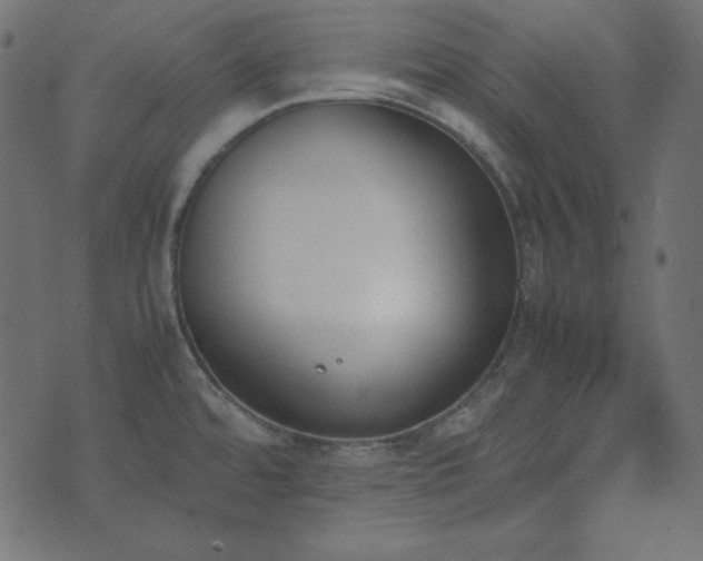 X0000074311480200608251223