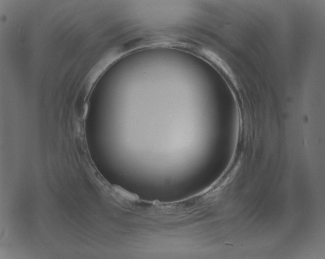 X0000074311481200608251223