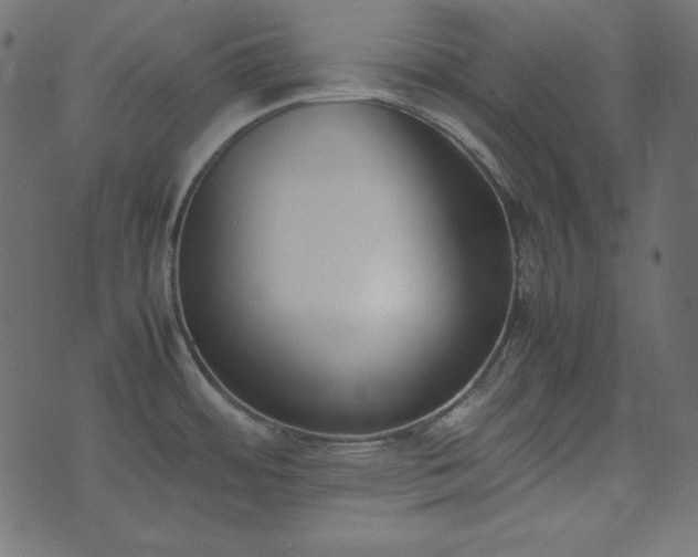 X0000074311484200608251223