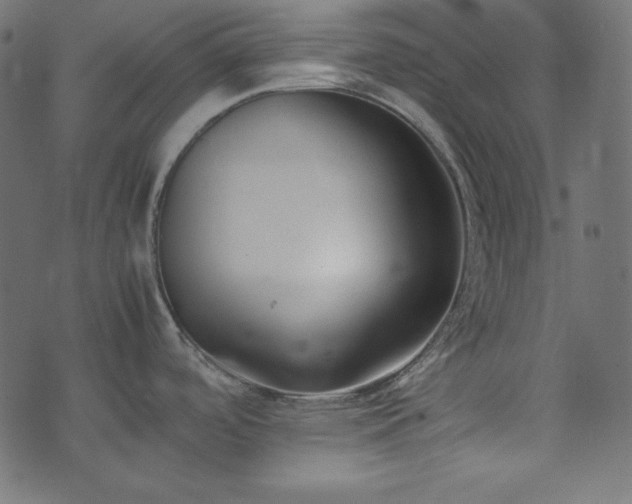 X0000074311488200608251223