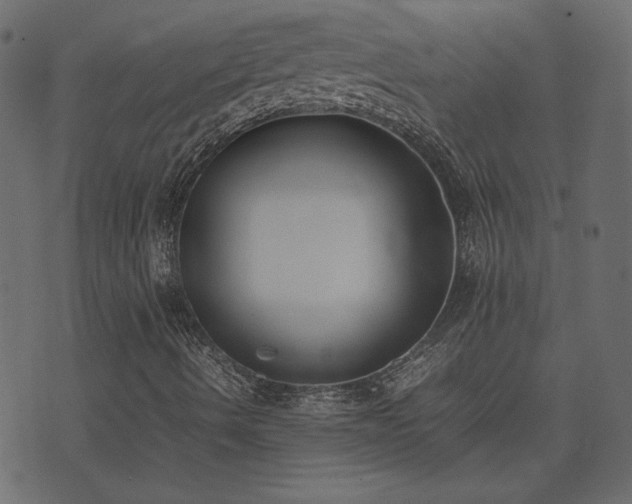 X0000074311490200608251222