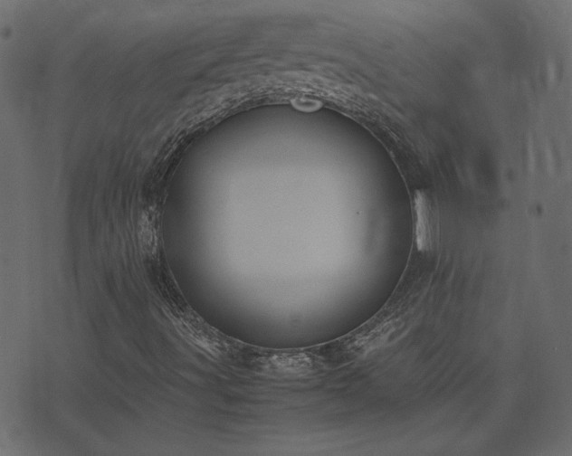 X0000074311491200608251222