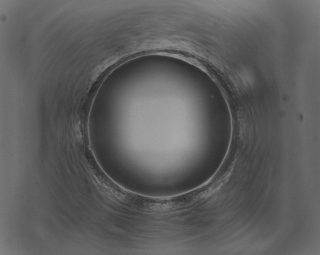 X0000074311497200608251222