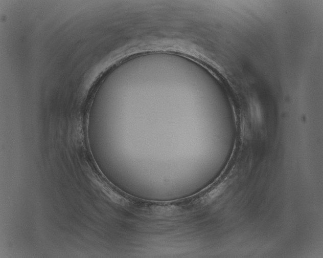 X0000074311498200608251222