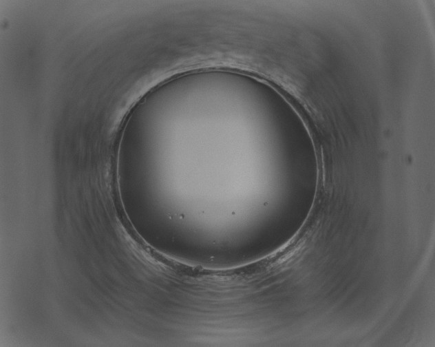 X0000074311500200608251222