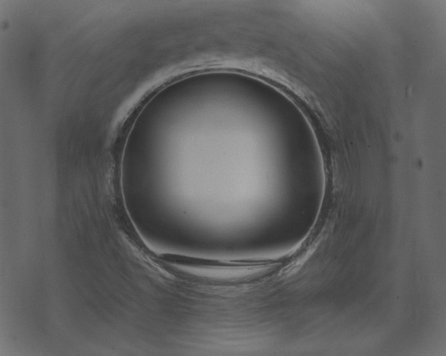 X0000074311502200608251222
