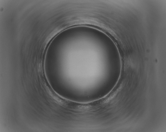 X0000074311513200608251222