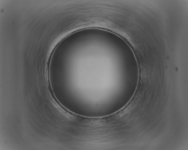 X0000074311516200608251222
