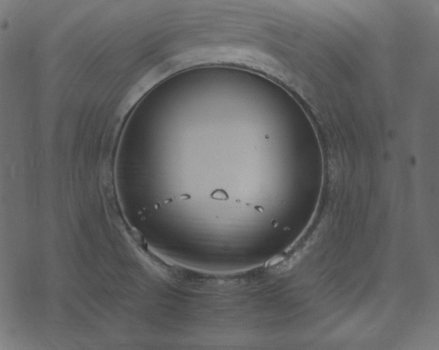 X0000074311521200608251223