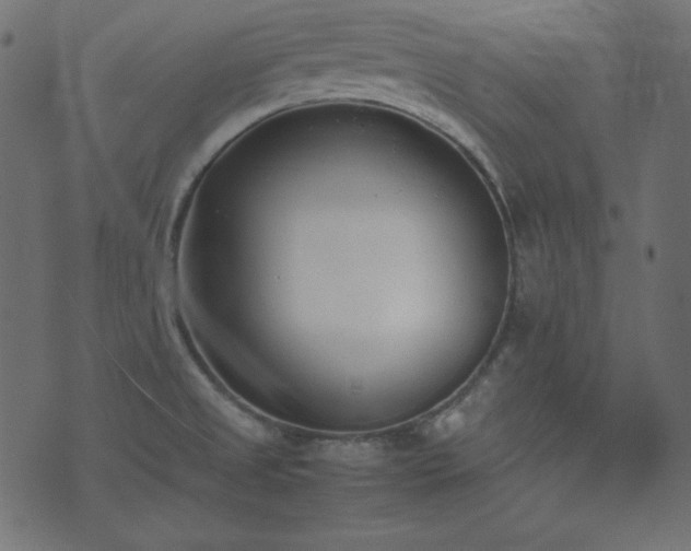 X0000074311525200608251223