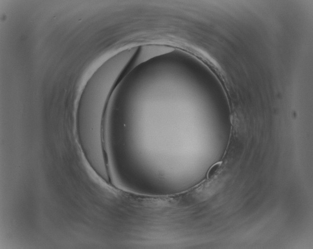 X0000074311528200608251223