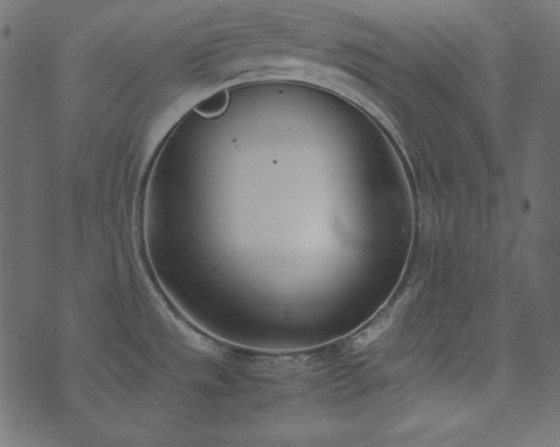 X0000074311533200608251223