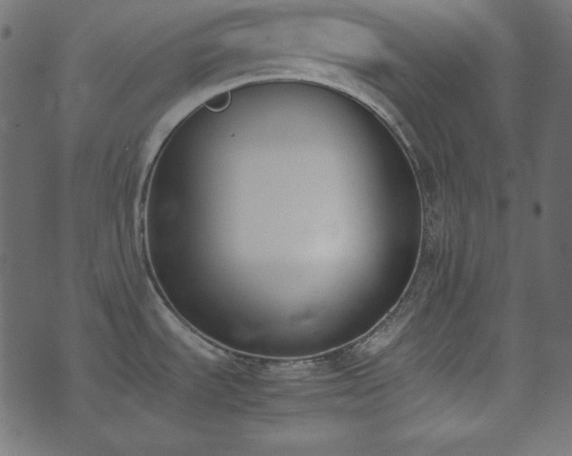 X0000074311535200608251223