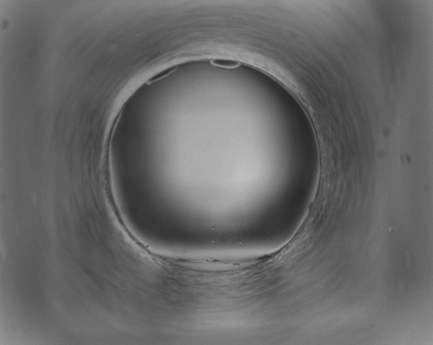 X0000074311536200608251223