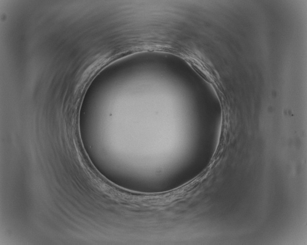 X0000074310001200609011524