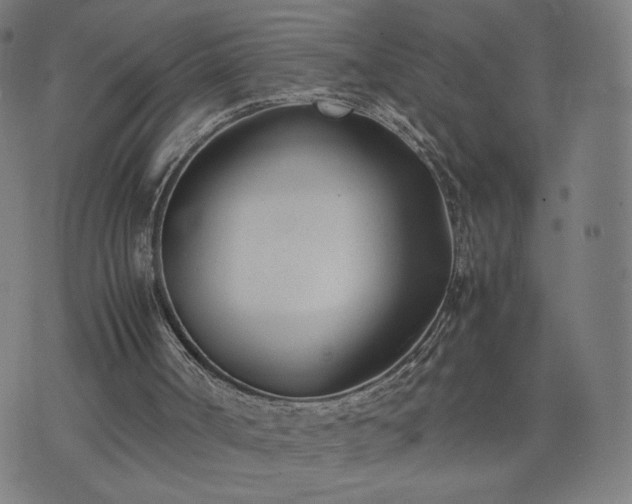 X0000074310002200609011524