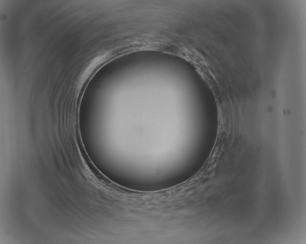 X0000074310003200609011524