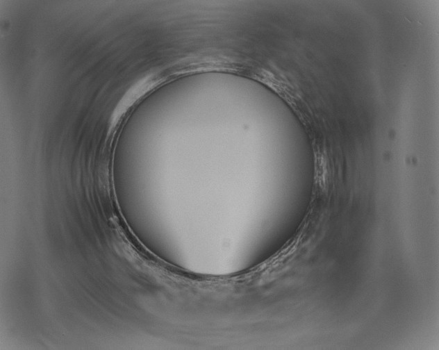 X0000074310004200609011524