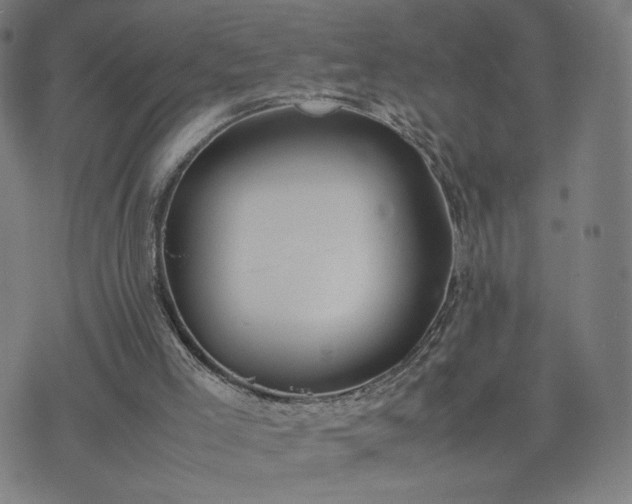 X0000074310005200609011524