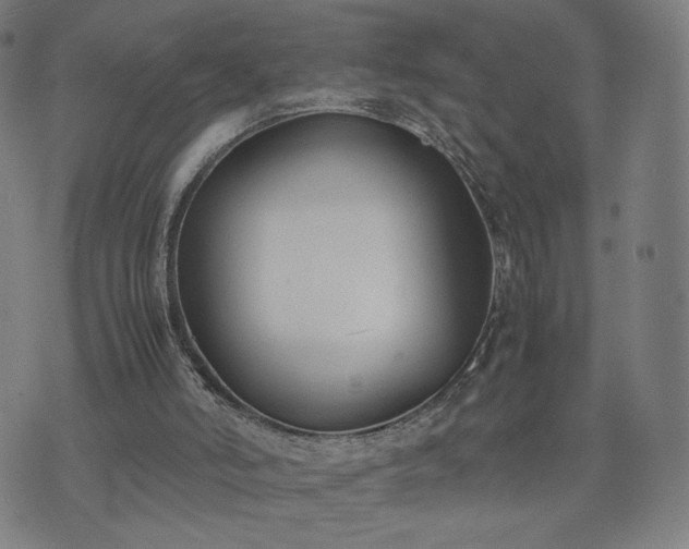 X0000074310006200609011524