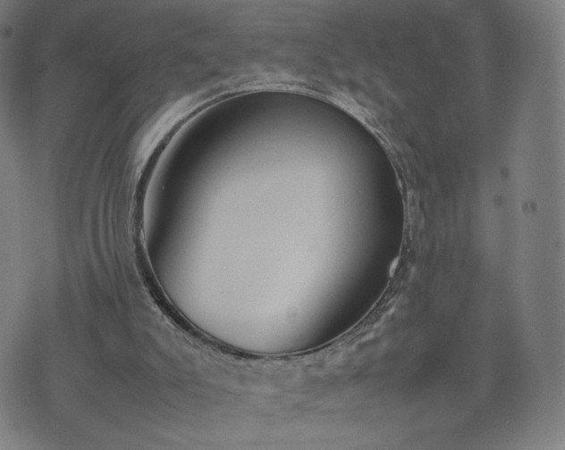 X0000074310007200609011524