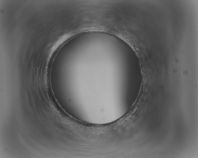 X0000074310008200609011524