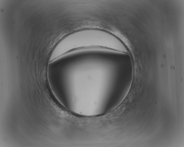 X0000074310009200609011524