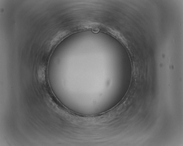 X0000074310010200609011524