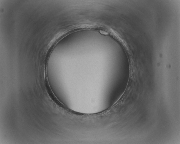 X0000074310011200609011524