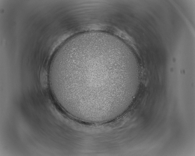 X0000074310012200609011524