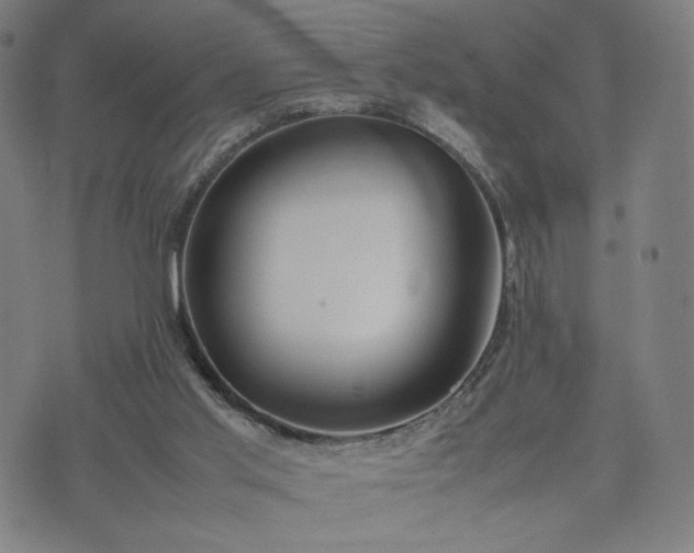 X0000074310013200609011524