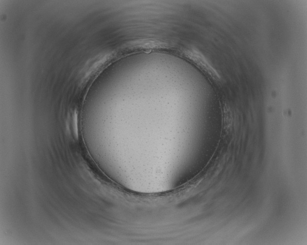 X0000074310014200609011524