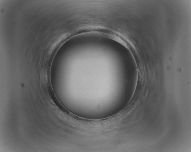 X0000074310015200609011524