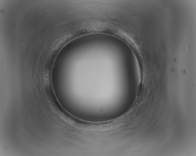 X0000074310017200609011524