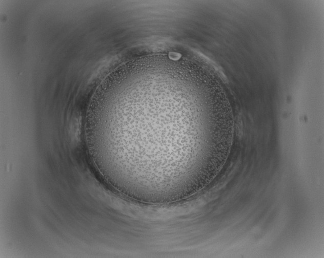 X0000074310018200609011524