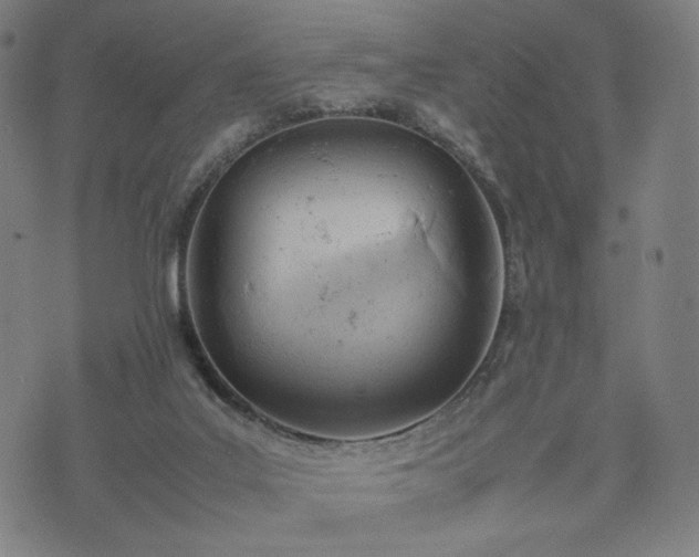 X0000074310019200609011524