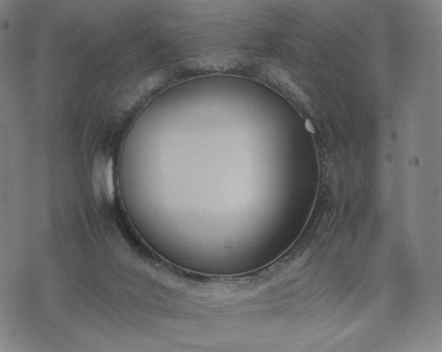 X0000074310020200609011524