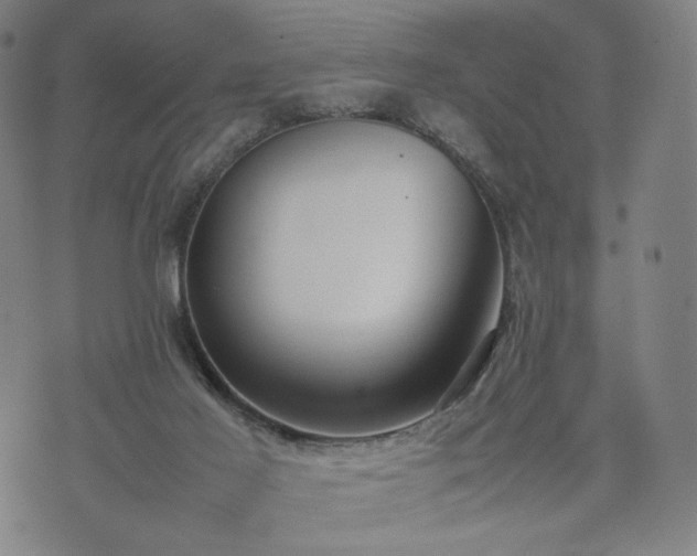 X0000074310021200609011524