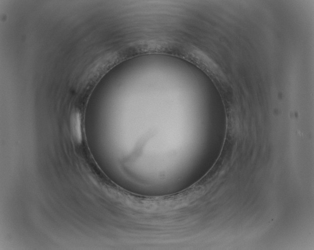 X0000074310022200609011524