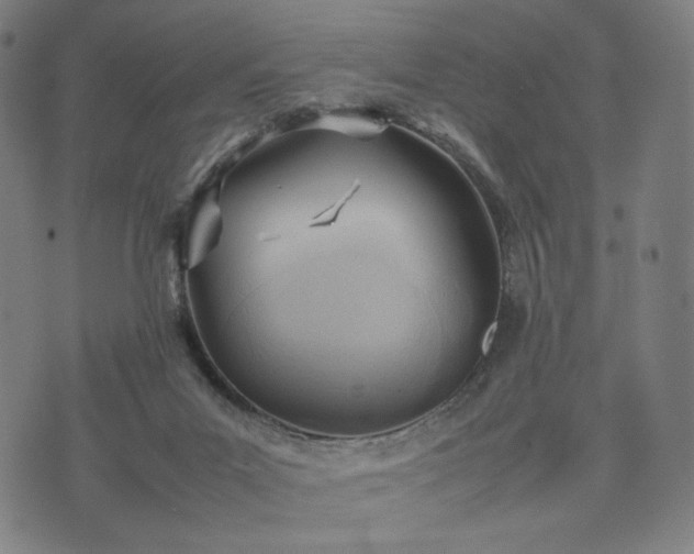 X0000074310023200609011524