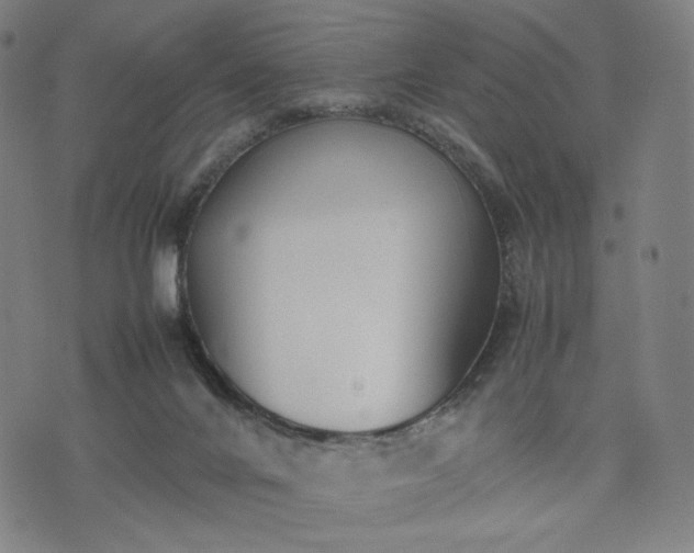 X0000074310024200609011524