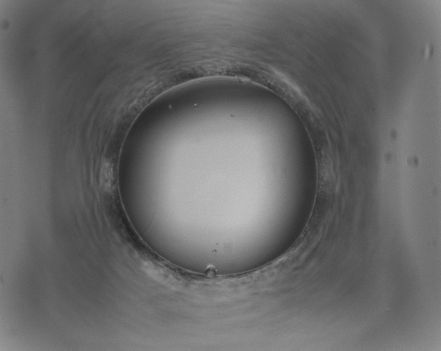 X0000074310025200609011523