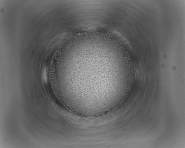 X0000074310026200609011523