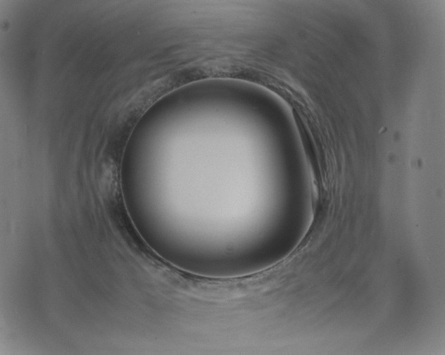 X0000074310029200609011523