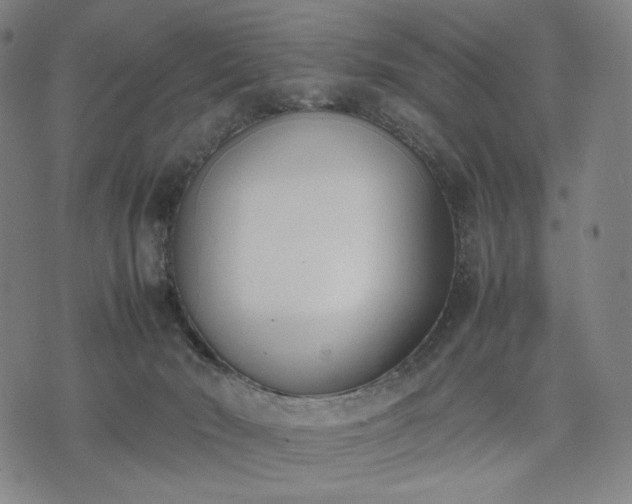 X0000074310030200609011523