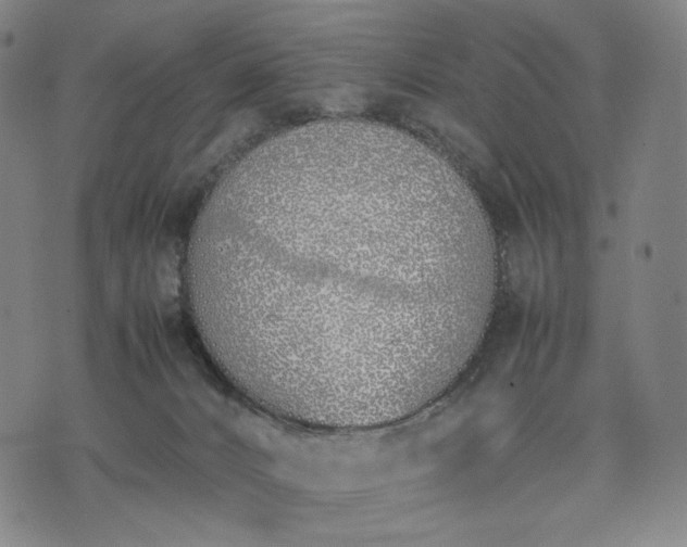 X0000074310032200609011523