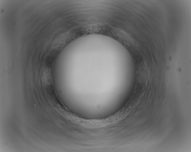 X0000074310034200609011523