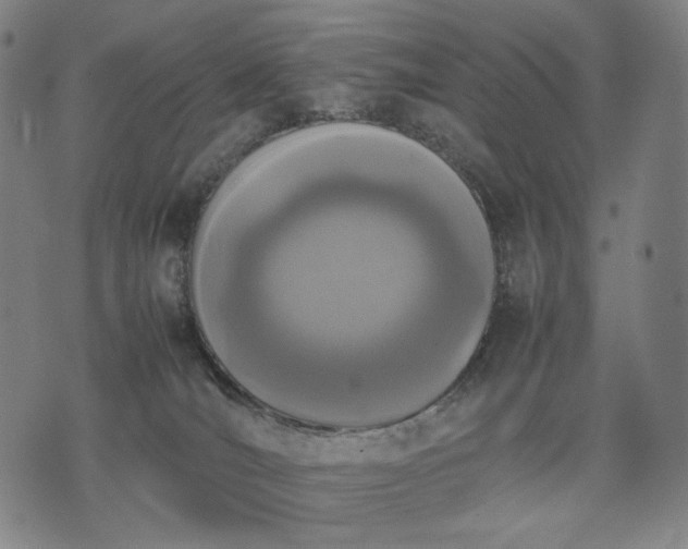 X0000074310036200609011523